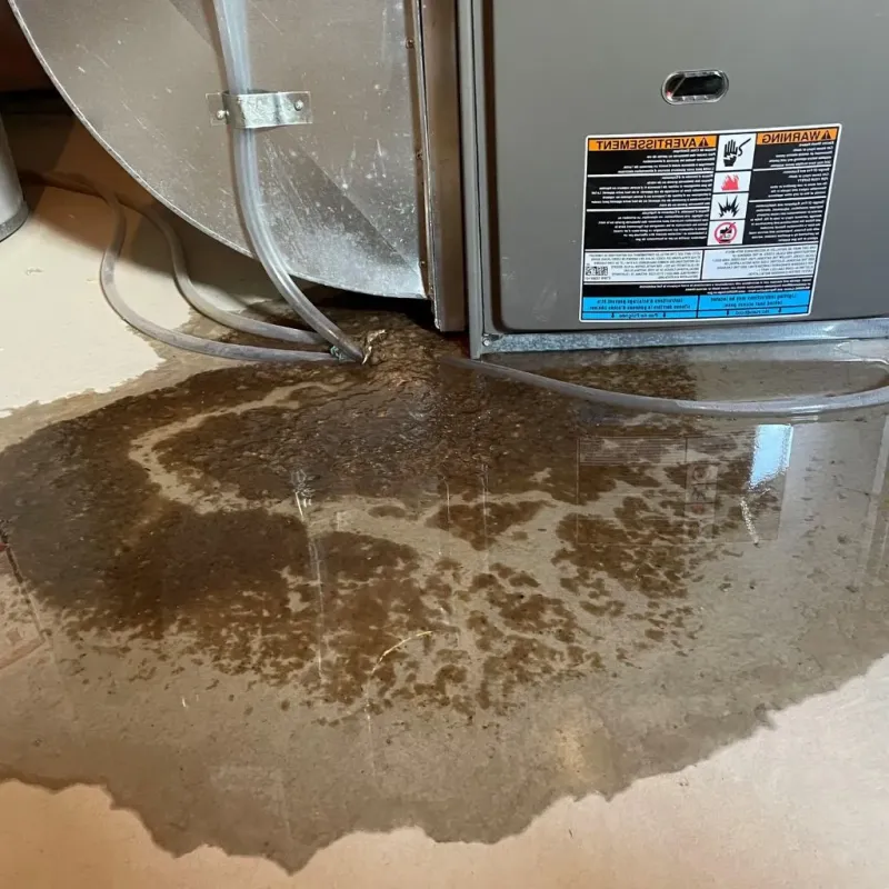 Pipe Burst and Leak Restoration in Ravenna, OH